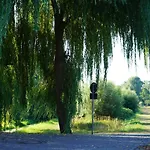 Elbdeichliebe Boizenburg