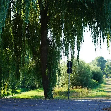 Elbdeichliebe בויצנבורג