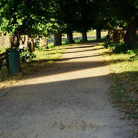 Elbdeichliebe דירה