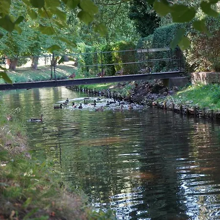 Elbdeichliebe דירה