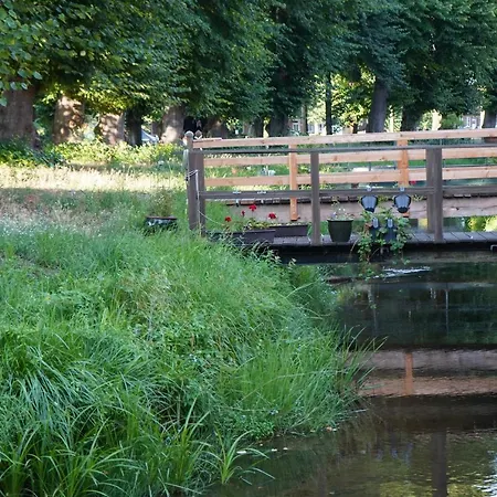 Elbdeichliebe